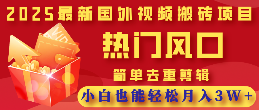 2025最新国外视频搬砖项目，热门风口，简单去重剪辑，小白也能轻松月入3W+-荔枝网络