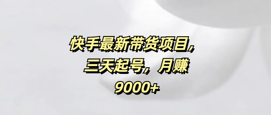 快手最新带货项目，三天起号，月赚9000+-荔枝网络