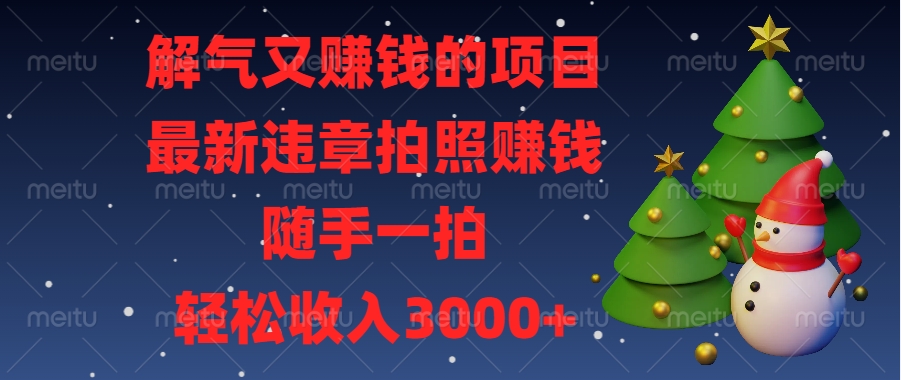 解气又赚钱的项目，最新违章拍照赚钱，随手一拍，轻松收入3000+-荔枝网络