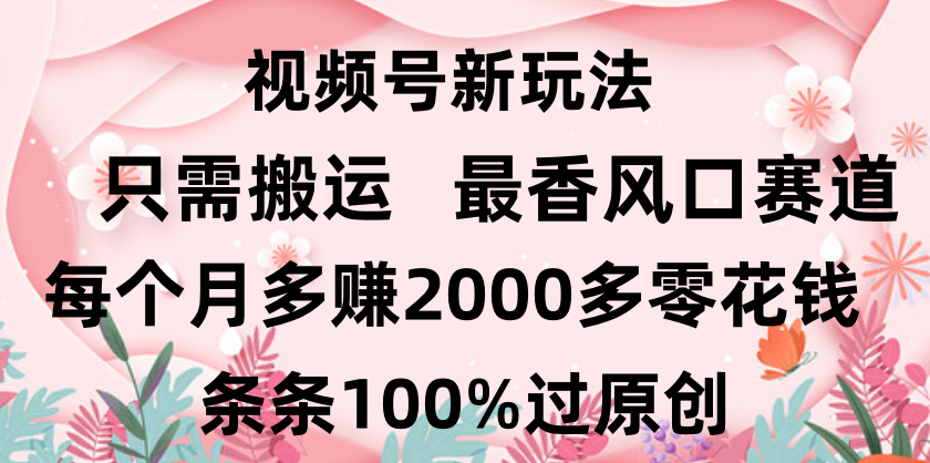 日入2000+,条条100%过原创,视频号最香风口赛道,小白轻松上手-荔枝网络