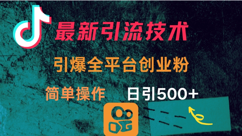 最新引流方法，引爆全平台创业粉操作简单，日引300＋-荔枝网络