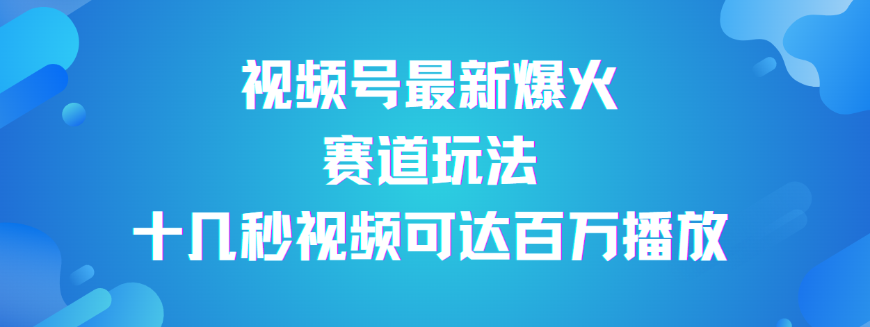 视频号最新爆火赛道玩法，流量巨大，视频制作简单，轻松月入数万-荔枝网络
