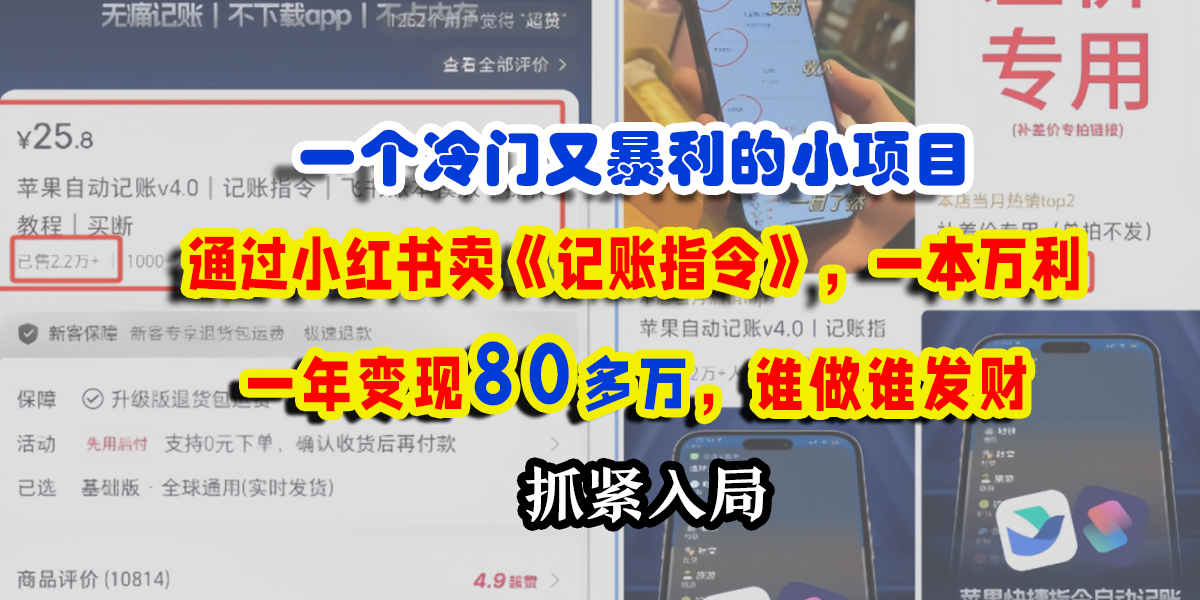 一个冷门又暴利的小项目，通过小红书卖《记账指令》，一本万利，一年变现80多万，谁做谁发财-荔枝网络