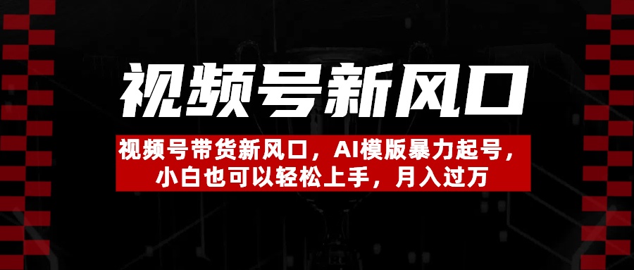 视频号带货新风口，AI模版暴力起号，小白也可以轻松上手，月入过万-荔枝网络