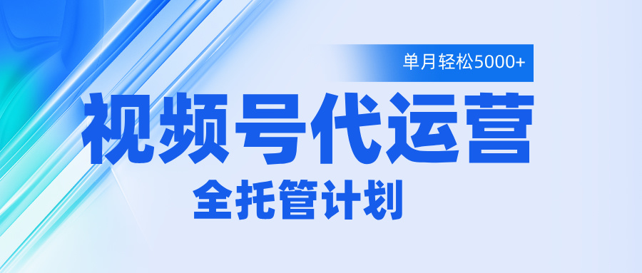 视频号代运营2.0，全程托管招募，单月轻松变现5000+-荔枝网络