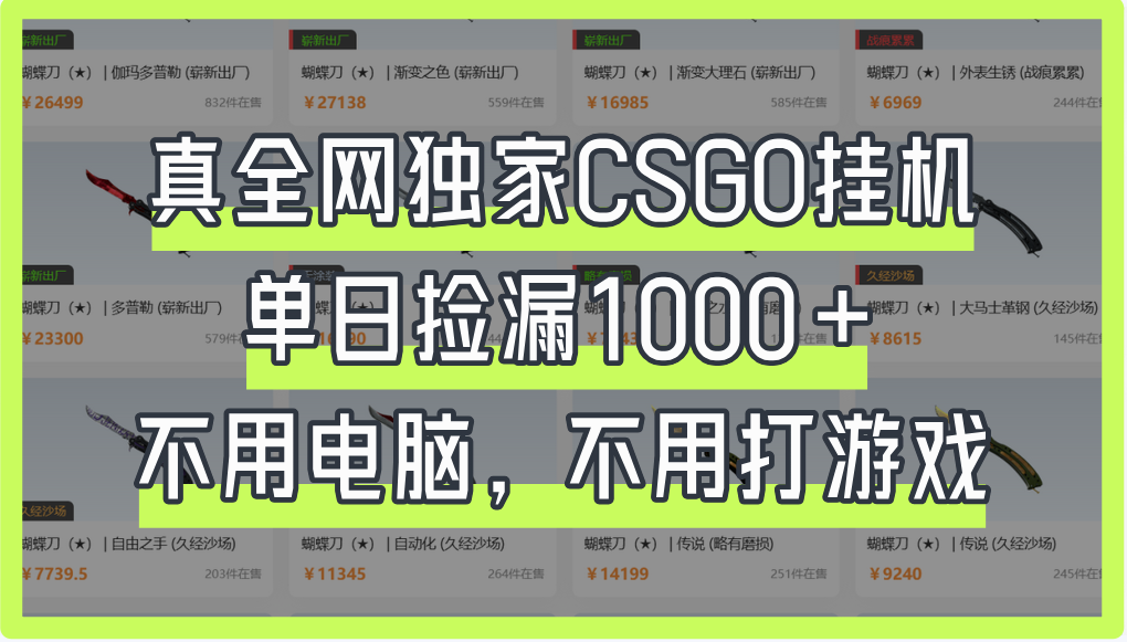 真全网独家CSGO挂机，单日捡漏1000+-荔枝网络