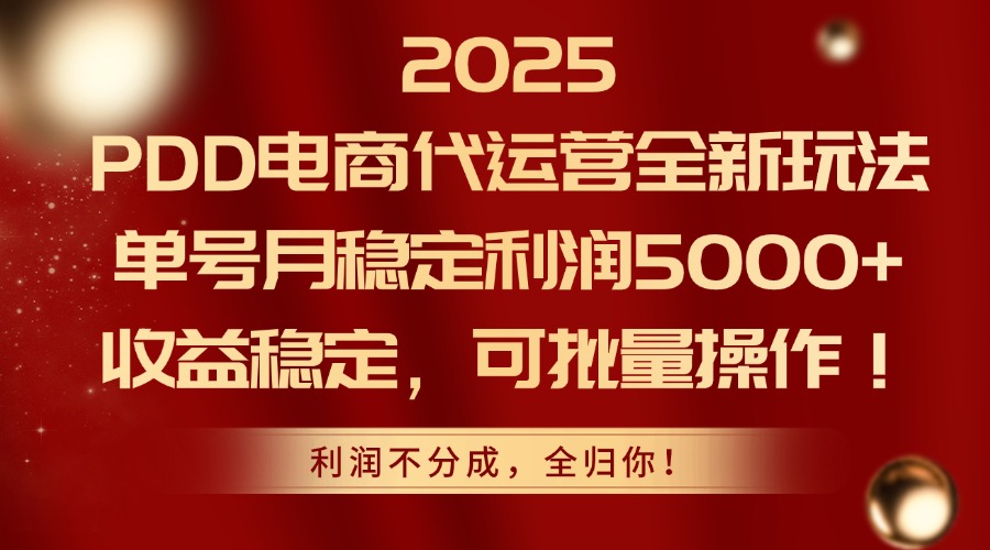 2025 PDD电商代运营全新玩法，单号月稳定利润5000+，收益稳定，可批量操作！-荔枝网络