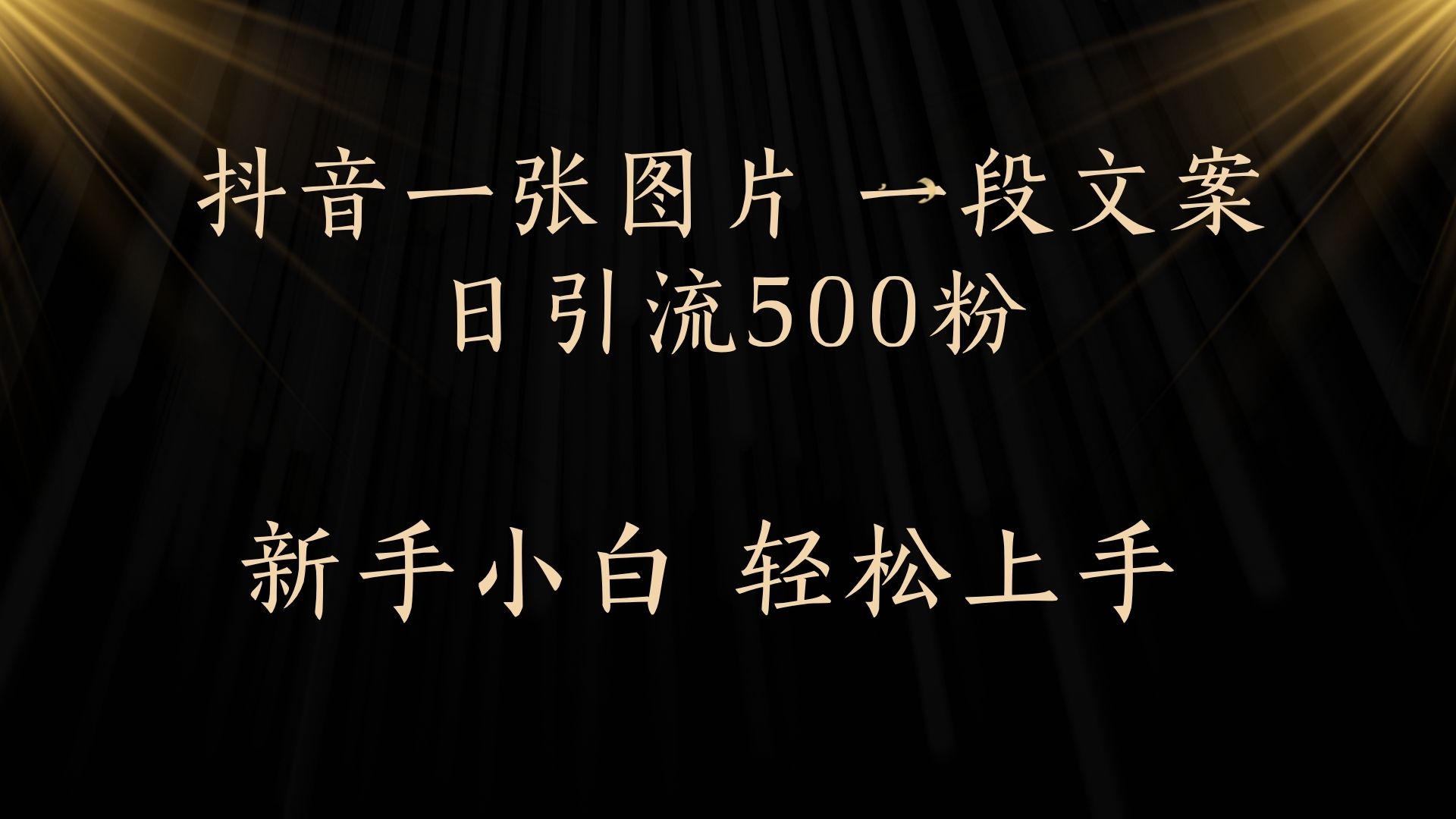 每天2分钟，抖音一张图片 一段文案日引流500粉-荔枝网络