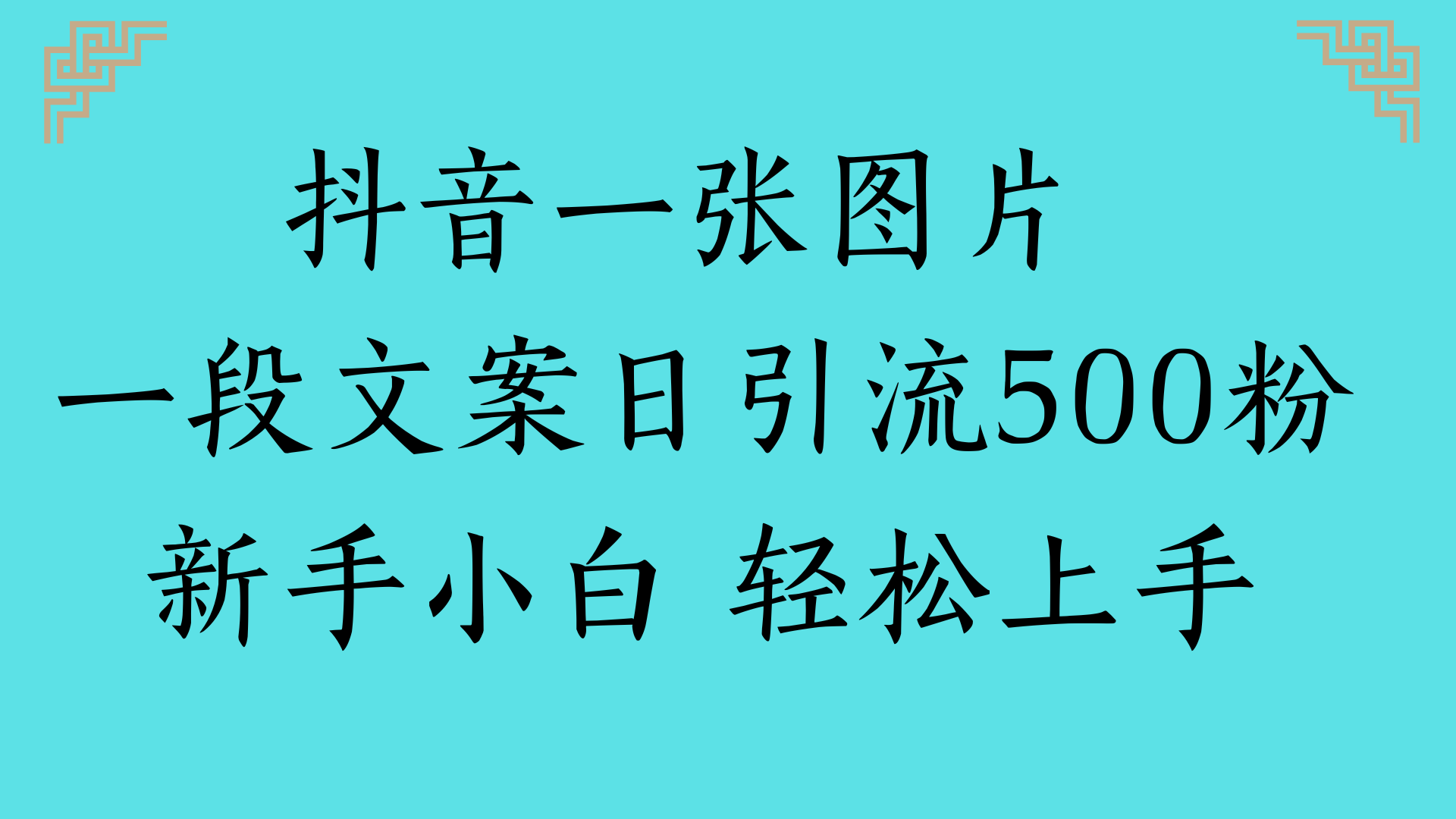 抖音一张图片 一段文案日引流500粉新手小白 轻松上手-荔枝网络