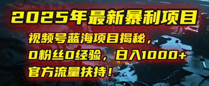 2025年最新暴利项目:视频号蓝海项目揭秘,0粉丝0经验,日入1000+,官方流量扶持!-荔枝网络