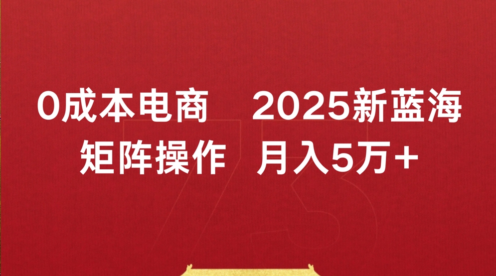 0成本电商2025新蓝海矩阵操作 月入5万+-荔枝网络