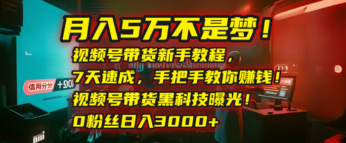 月入5万不是梦！视频号带货新手教程，7天速成，手把手教你赚钱！视频号带货黑科技曝光！0粉丝日入3000+-荔枝网络