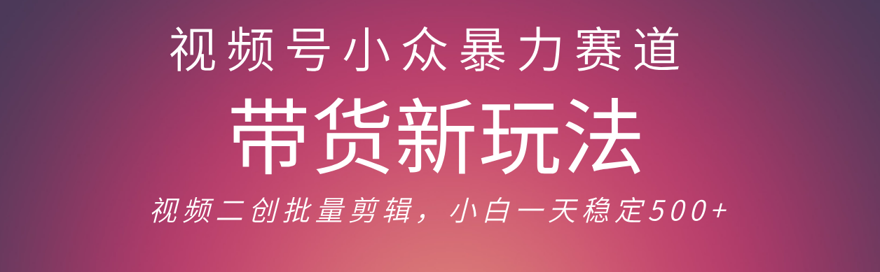 视频号小众暴力赛道,最新带货玩法 小白也能轻松日入500+ 保姆及教程-荔枝网络