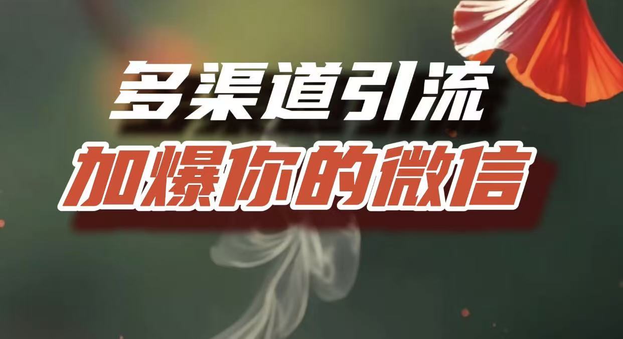 多渠道引流，加爆你的微信，把流量导入到私域，这是每一个想要在互联网赚钱的人必须掌握的底层能力-荔枝网络
