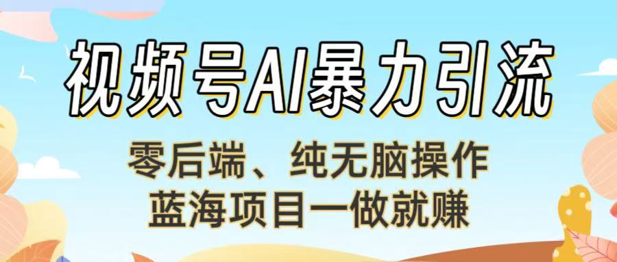 视频号AI暴力引流：零后端、纯无脑操作，蓝海项目一做就赚！【下面那个链接失效了】-荔枝网络