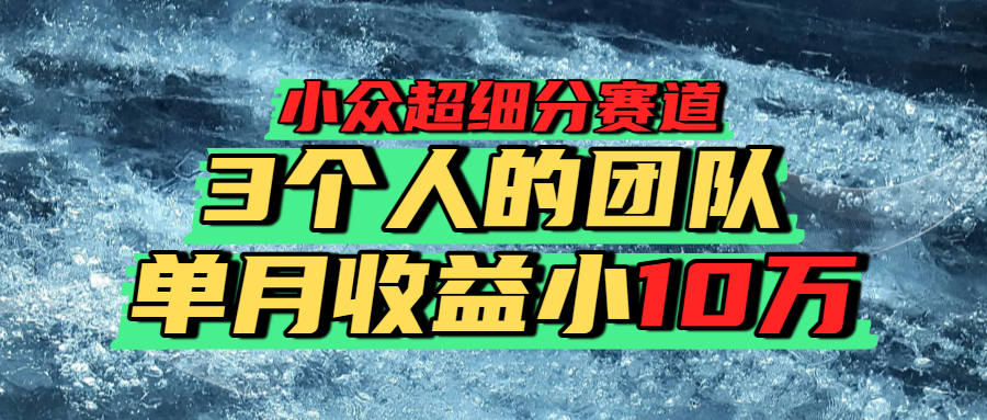 小众超细分赛道，一年百万利润的盘子！-荔枝网络