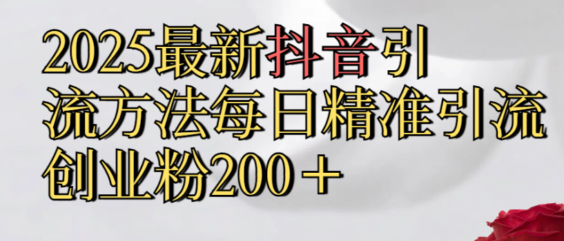 2025最新抖音引流,方法每日精准引流创业粉300+-荔枝网络