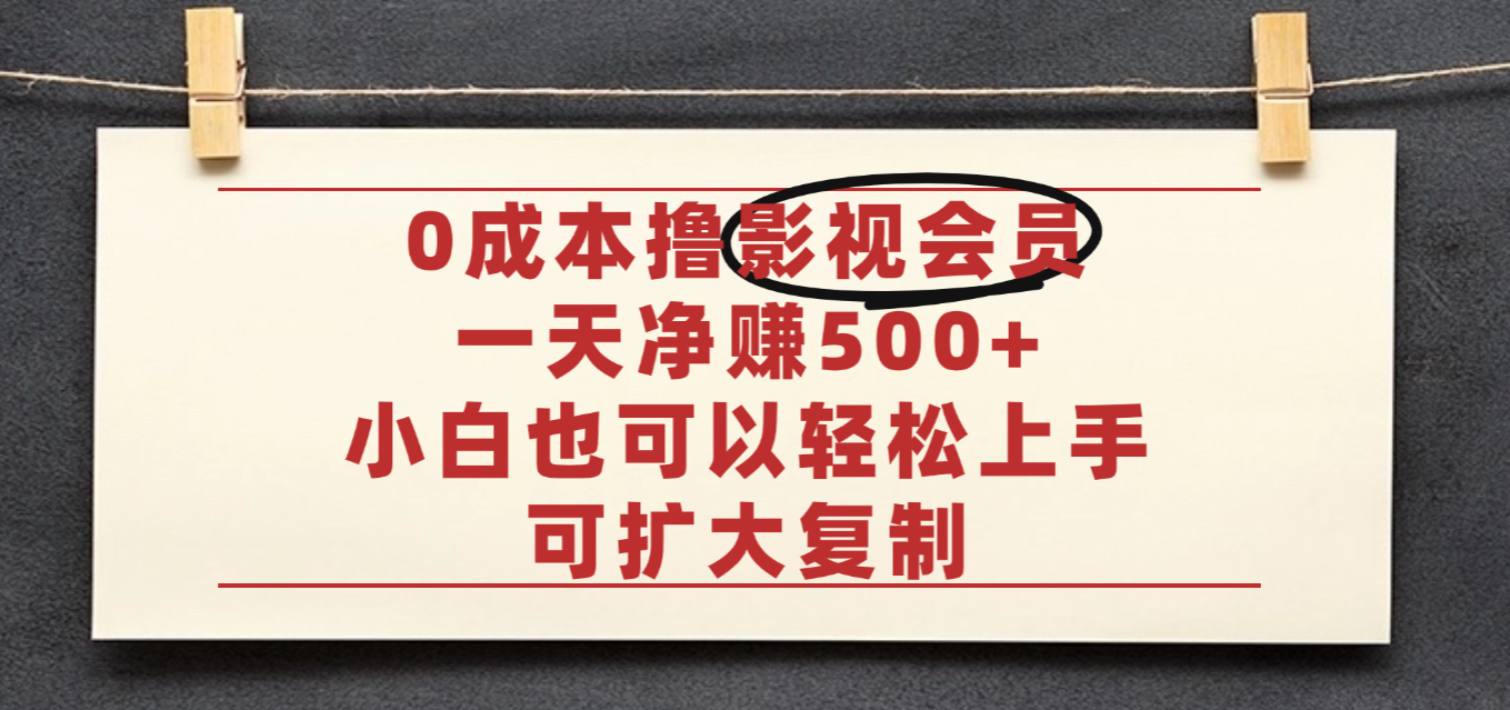 亲测,0成本可批量操作,靠卖影视会员实测月入30000+-荔枝网络