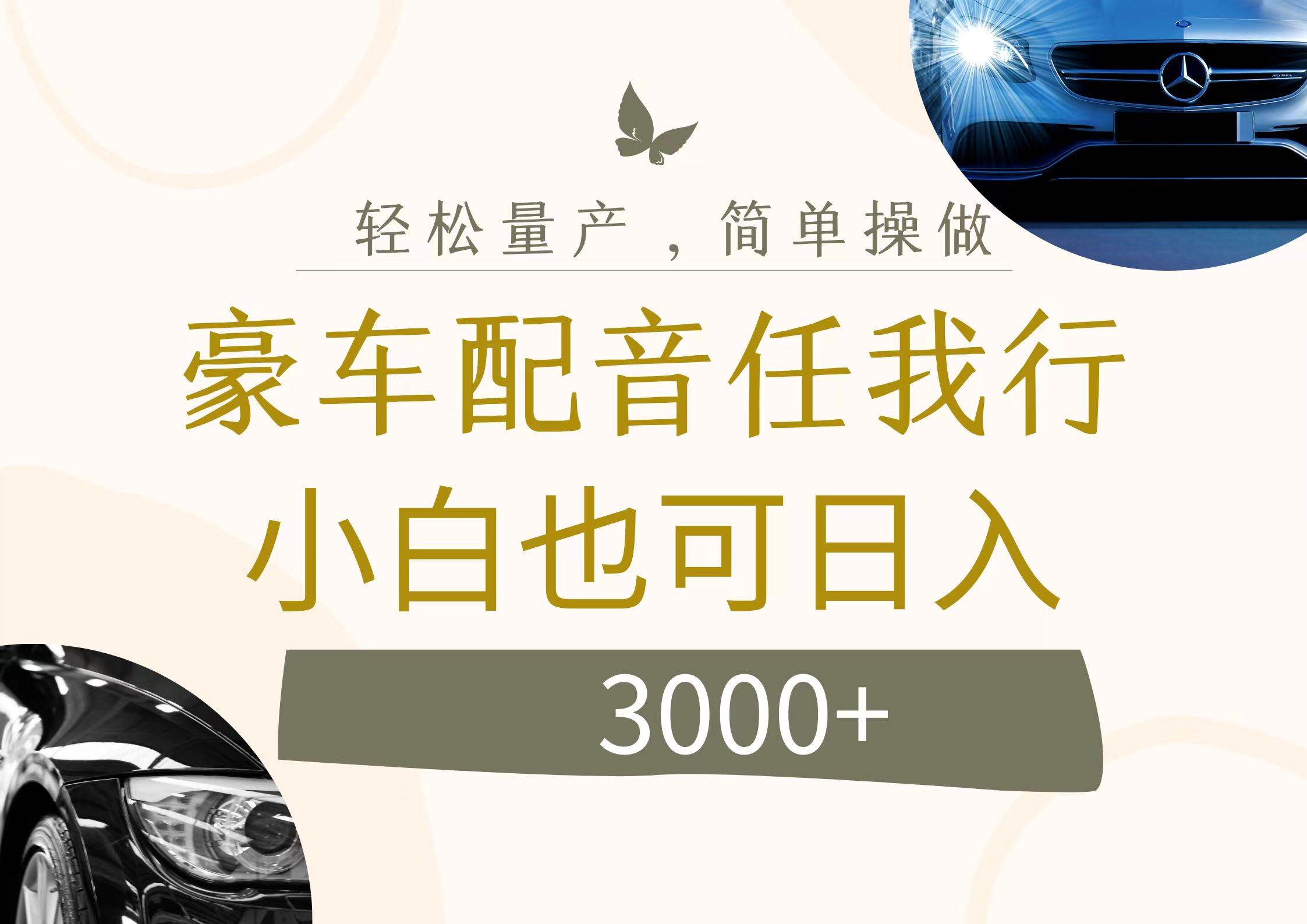 不为人知的暴力小项目，豪车配音，日入3000+-荔枝网络