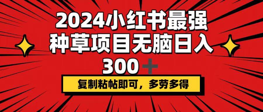 2024小红书最强种草项目，无脑日入300+，复制粘帖即可，多劳多得-荔枝网络